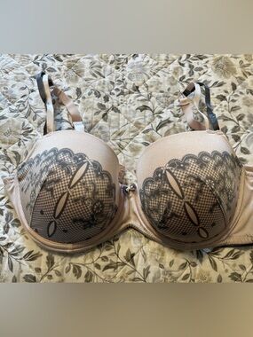 Deesse Lingerie Pink Bra with Grey Lace Pattern